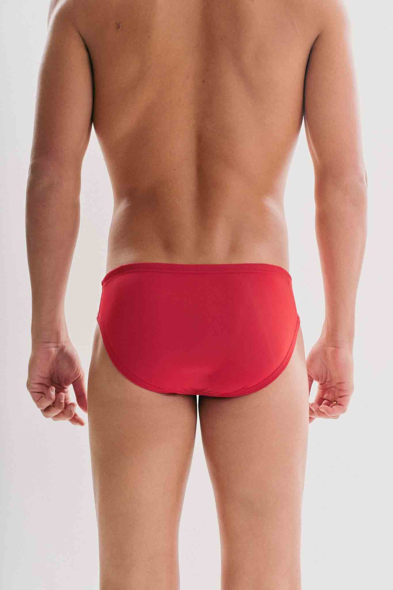 Pleasure Briefs