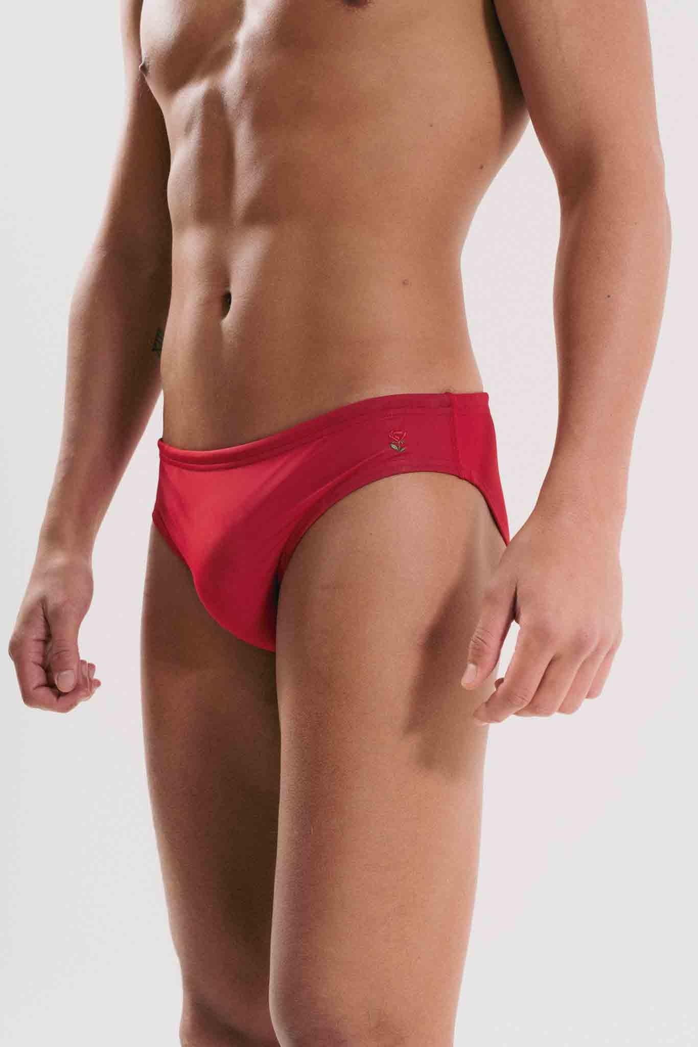 Pleasure Briefs