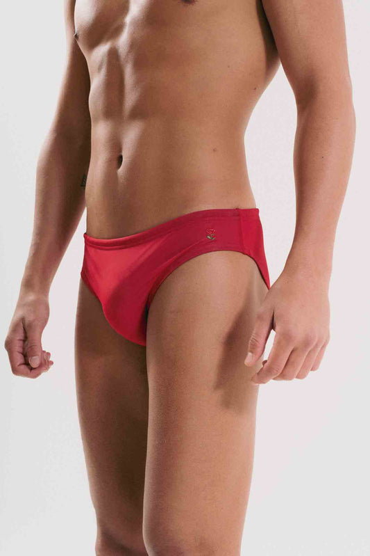 Pleasure Briefs