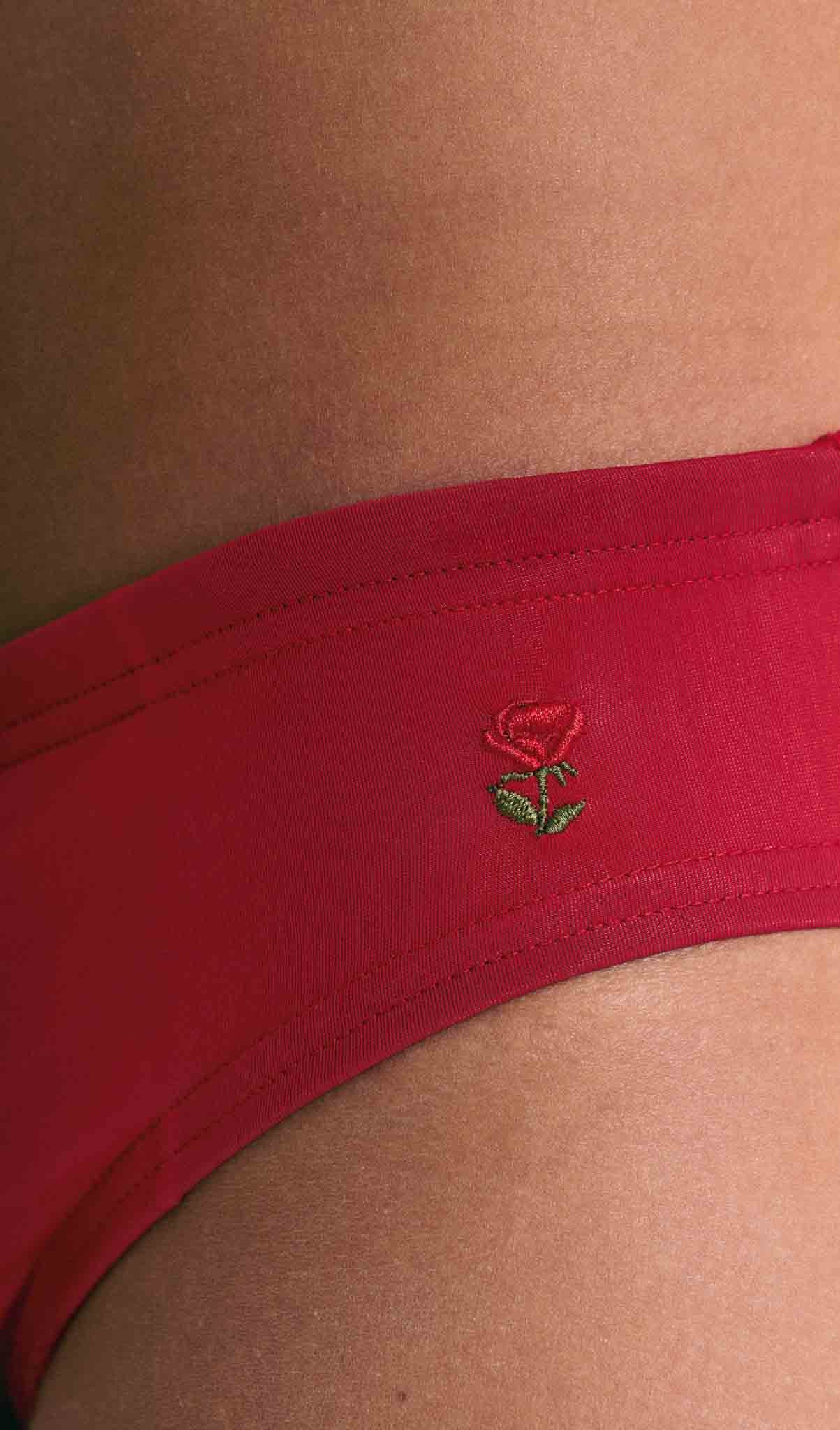 Pleasure Briefs