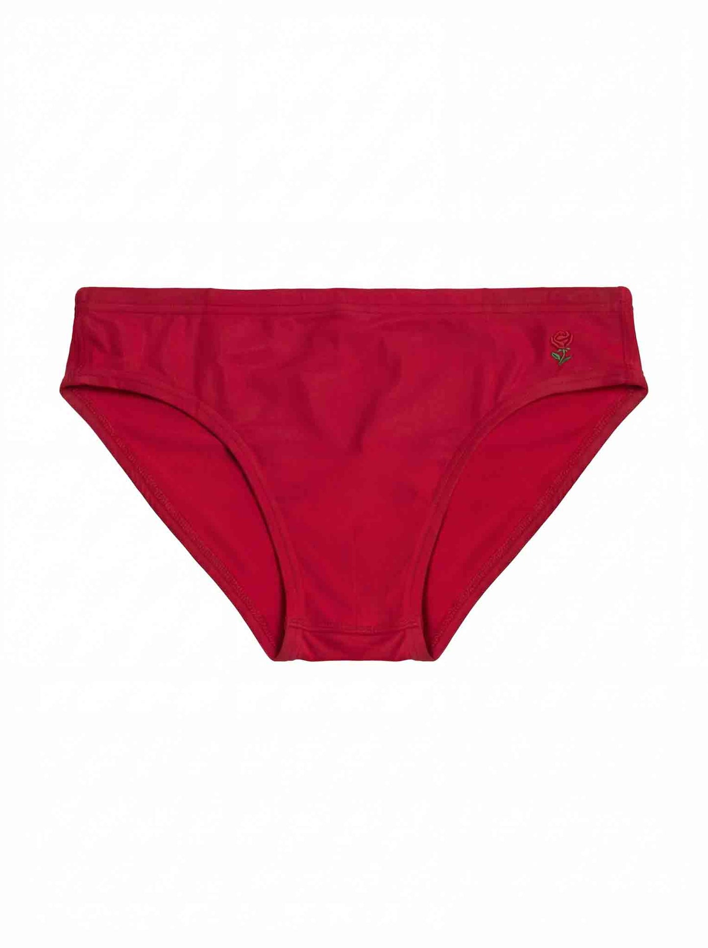 Pleasure Briefs